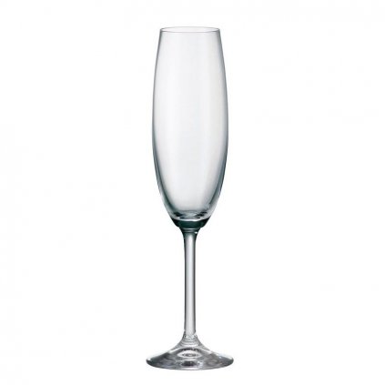 bohemia colibri kieliszek 220ml szampan 6szt