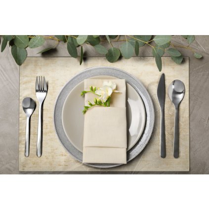 SADA 4 KS PROSTÍRÁNÍ NA STŮL ALINA 30X40 CM BÉŽOVÁ