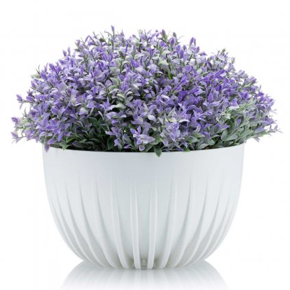 hh str misa r b 24 394931