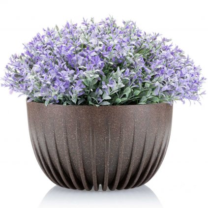 hh str misa c e 24 394887