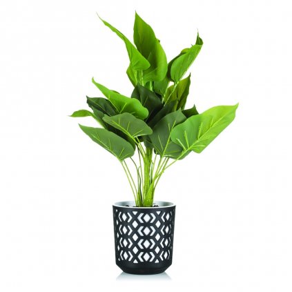 hh etnic b cz 14 15 395056