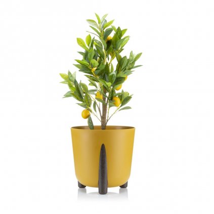 hh moss m 26 25 394711