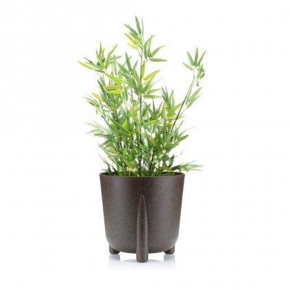 hh moss c e 26 25 394716