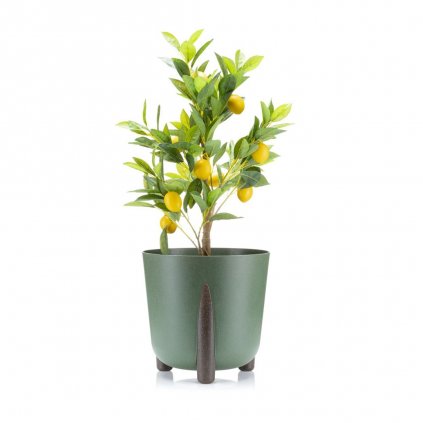 hh moss w z 34 32 394724