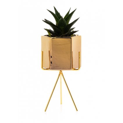 hh sashi 21 gg 346690