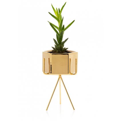 hh sashi 18 gg 346678