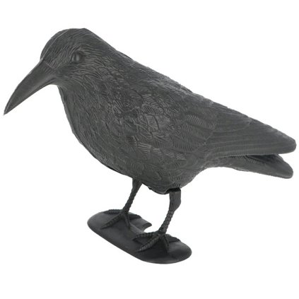 e48f79537985f824646d40f97e20f9bf