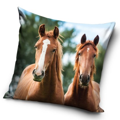 poszewka velvet 40x40 koniki dwa