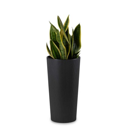 32312f3ab049d1dc7221121278f6d634