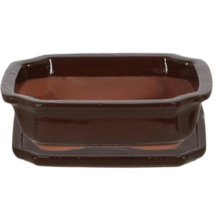 328b02c453a3d91e8e59559579279a4c