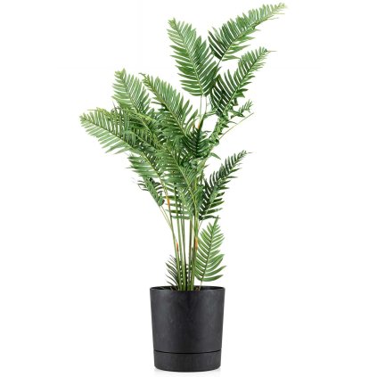 hh az cz b 35 479063