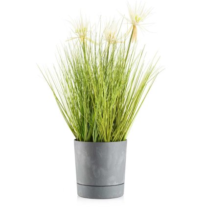 hh az sz b 17 479055