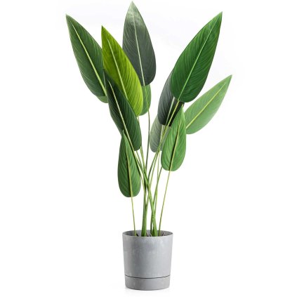 hh az sz b 22 479051