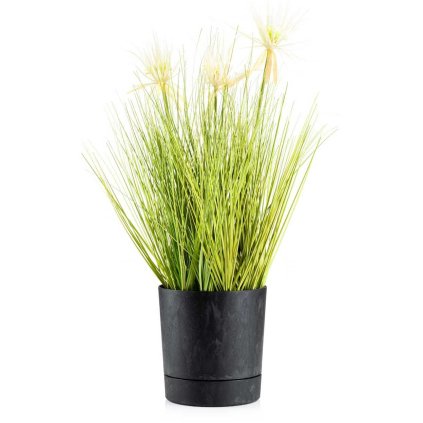 hh az cz b 17 479080