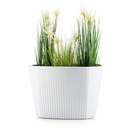 hh mora owal b 59 479103