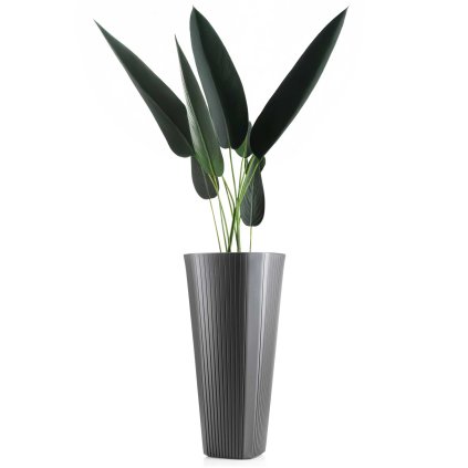 hh mora wys a 81 479114