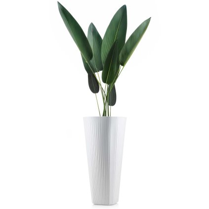 hh mora wys b 81 479092