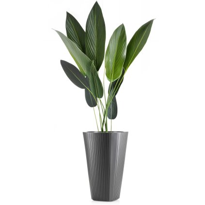 hh mora wys a 61 479101