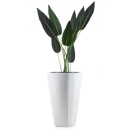 hh mora wys b 61 479097