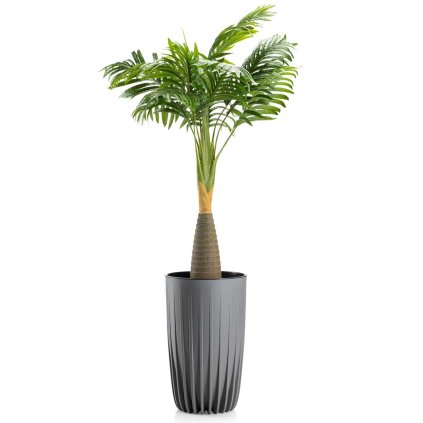 hh str wys sz 25 479148