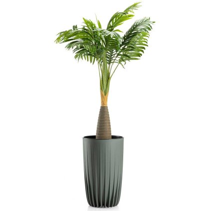 hh str wys sz z 25 479133