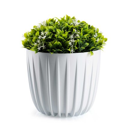 hh str n b 24 479219