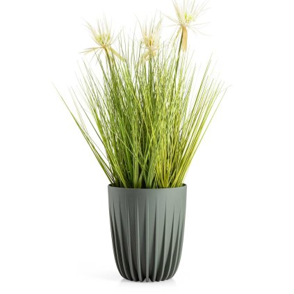 hh str r sz z 23 479298