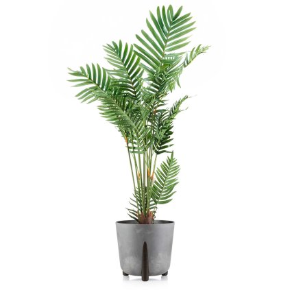 hh moss r sz b 34 479237