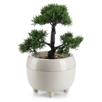 hh botan b 30 479659