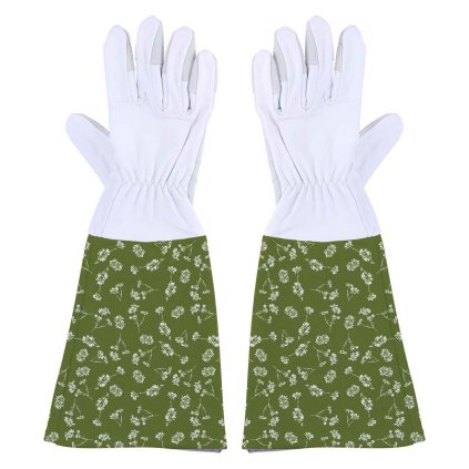 1d670364ea86b4aad3683625c0ddb2a5