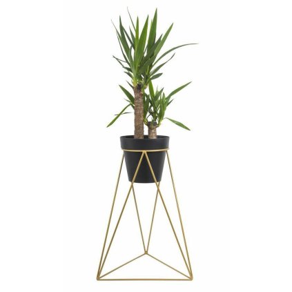 10 1533 60 zloty 371486