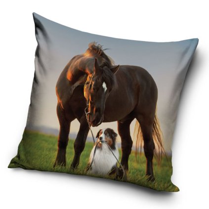 poszewka mikrofibra 40x40 kon i pies
