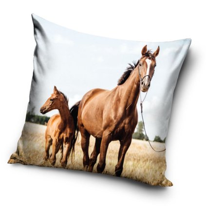 poszewka mikrofibra 40x40 dwustronna konik i zreba