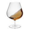 rona universal kieliszek brandy 530ml kpl 6 szt