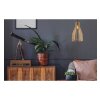 lampa timber wiszaca designerska z drewnianym kloszem