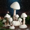 DEKORAČNÍ FIGURKA MUSHROOMS 25X36X51CM VÍCEBAREVNÁ